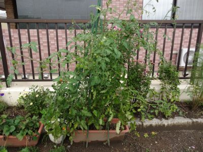 DSC00013