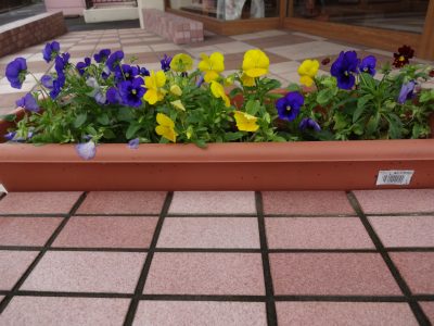 DSC00018