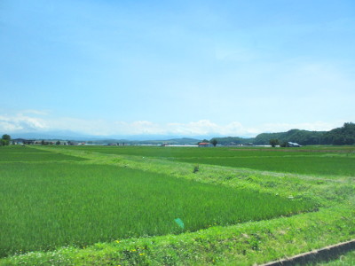 IMG_1216_s