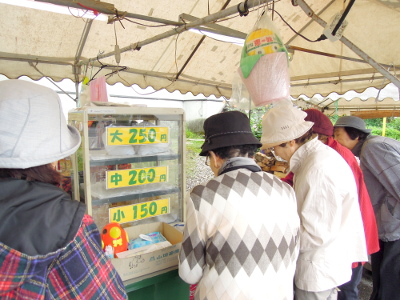 dscn5289_ed