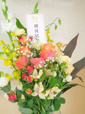 dscn6235