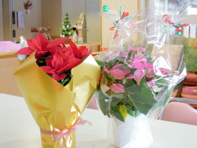 dscn6425_ed_s