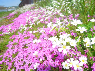 DSCN7629