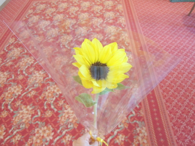 DSCN7702_s