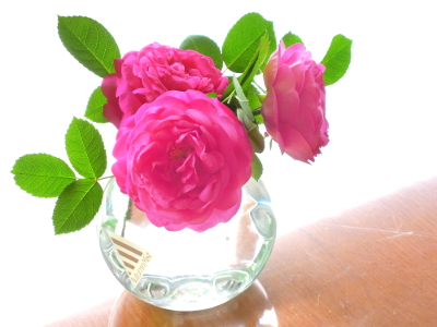 DSCN7744_s