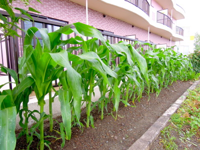 DSCN7846_s