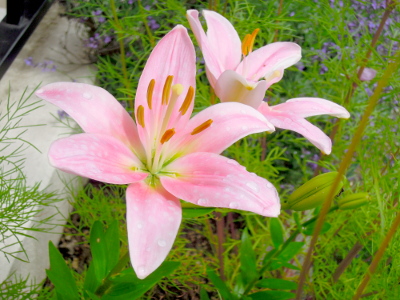 DSCN7858_s