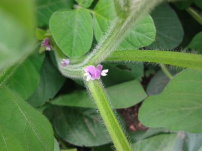 DSC00889_s