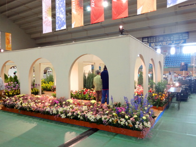 DSC01488_ed_s