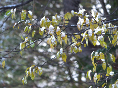 DSC_0102_dev_ed