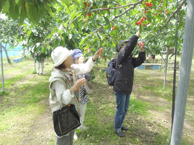 DSC02187_ed_s