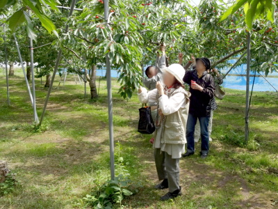 DSC02189_ed_s