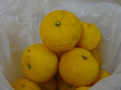 DSC02380