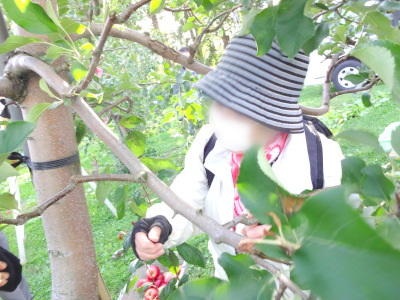 DSC02954_ed_s