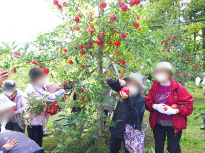 DSC00077_ed_s