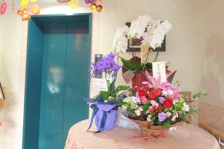 IMG_4086_dev_s
