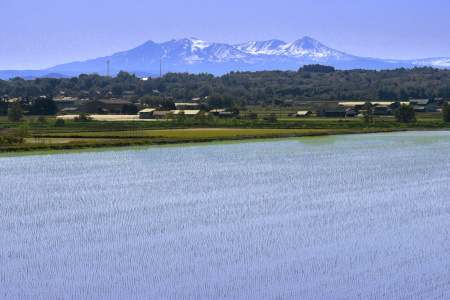 DSC_0323_dev