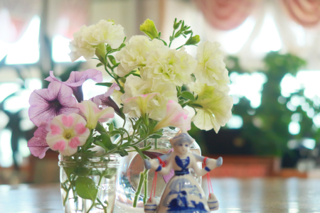IMG_6046_dev_s