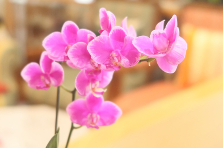 IMG_6697_dev_s