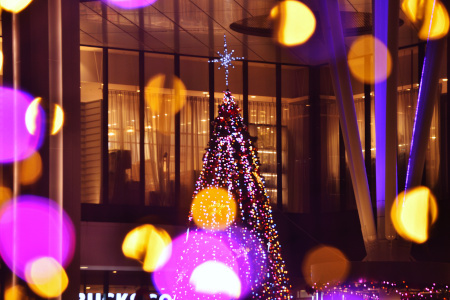 DSC_0069_dev