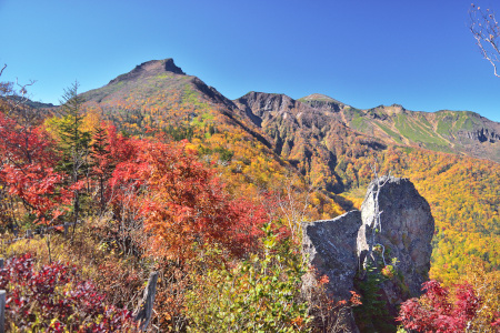DSC_0125_dev_s
